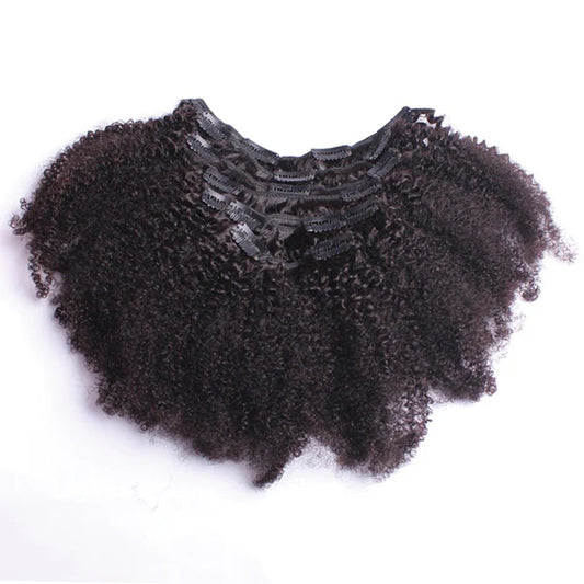 4C Kinky Coily Human Hair Clip-In